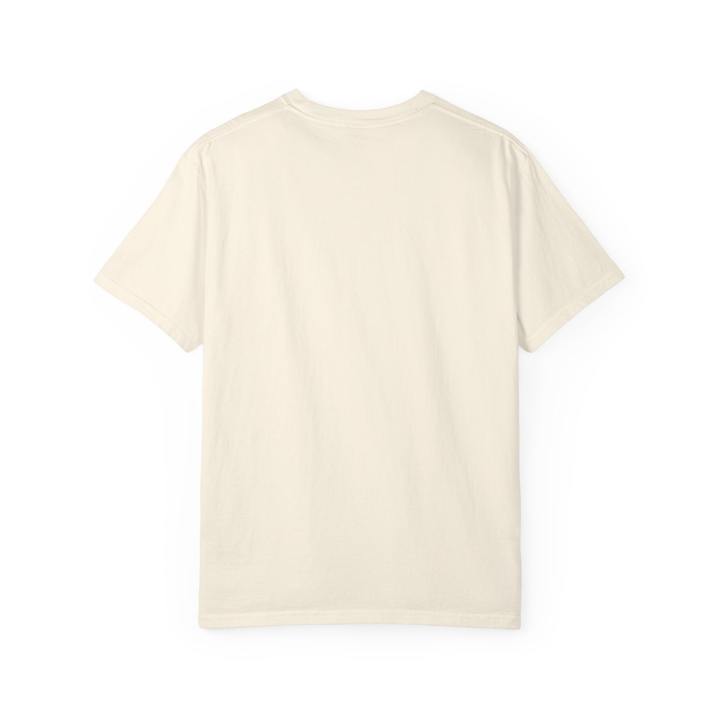 Dallas 1841 Texas USA T-Shirt | City Vintage Collegiate Tee